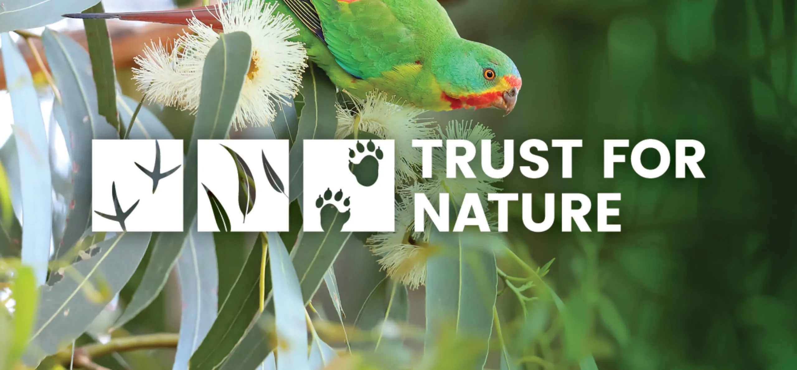 Trust for Nature Logo