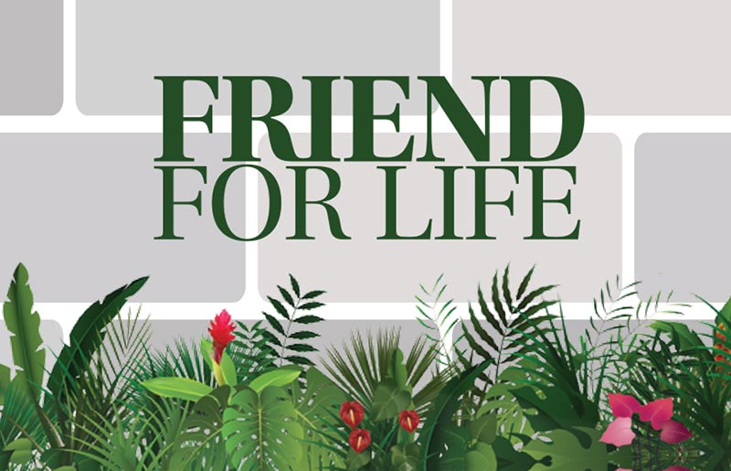 Friend For Life Campaign